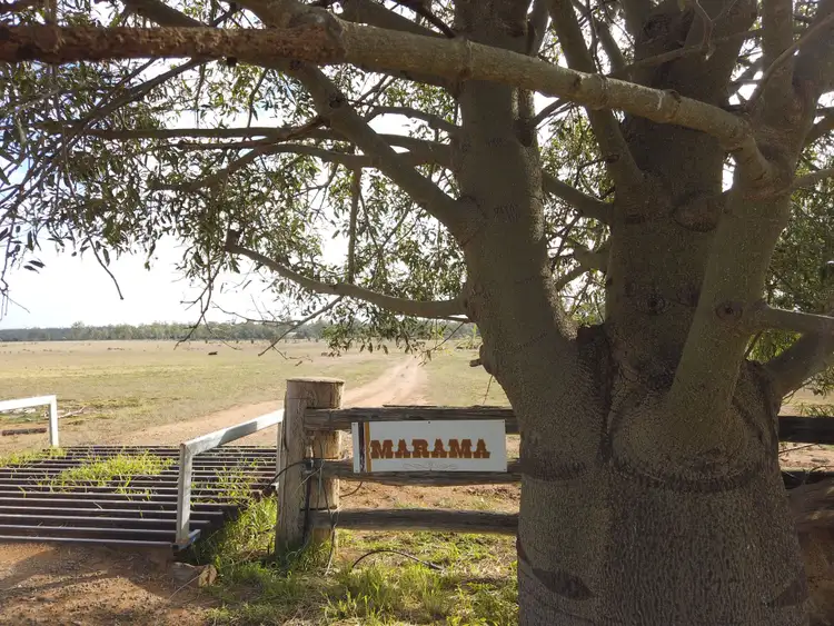 Fourth view of Homely rural property listing, 2139 Ponty Pool Road, Cockatoo QLD 4419