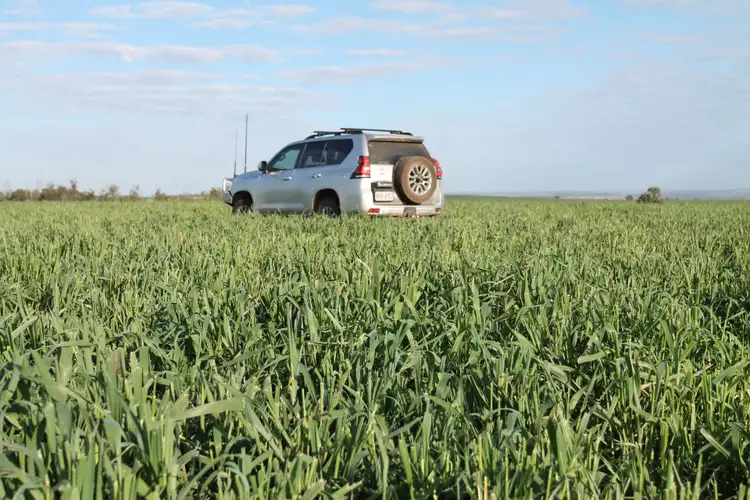 Fifth view of Homely rural property listing, 2139 Ponty Pool Road, Cockatoo QLD 4419