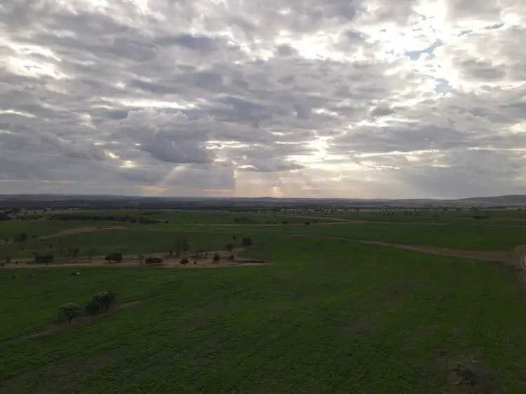 Seventh view of Homely rural property listing, 2139 Ponty Pool Road, Cockatoo QLD 4419