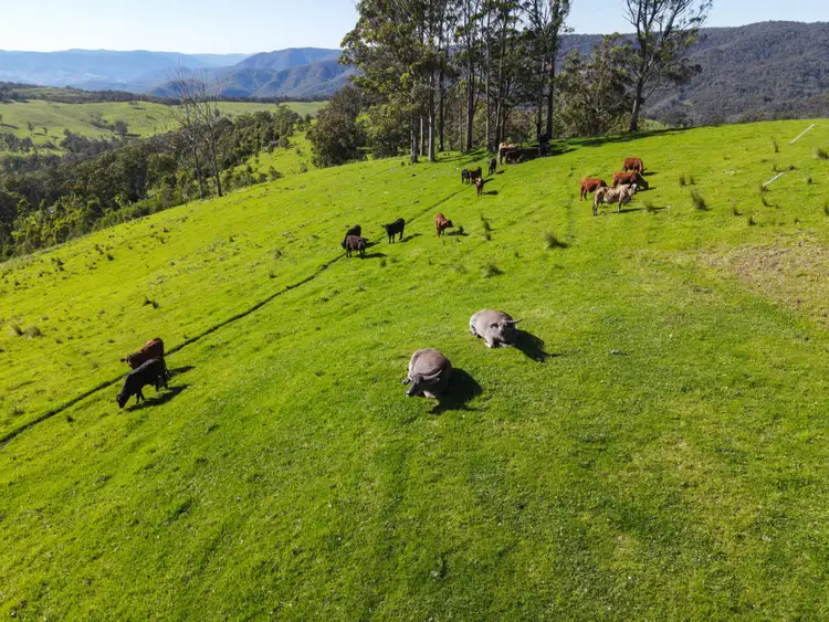 Third view of Homely rural property listing, 1600 Billirimba Road, Tenterfield NSW 2372
