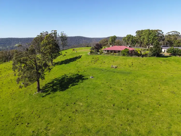Fifth view of Homely rural property listing, 1600 Billirimba Road, Tenterfield NSW 2372