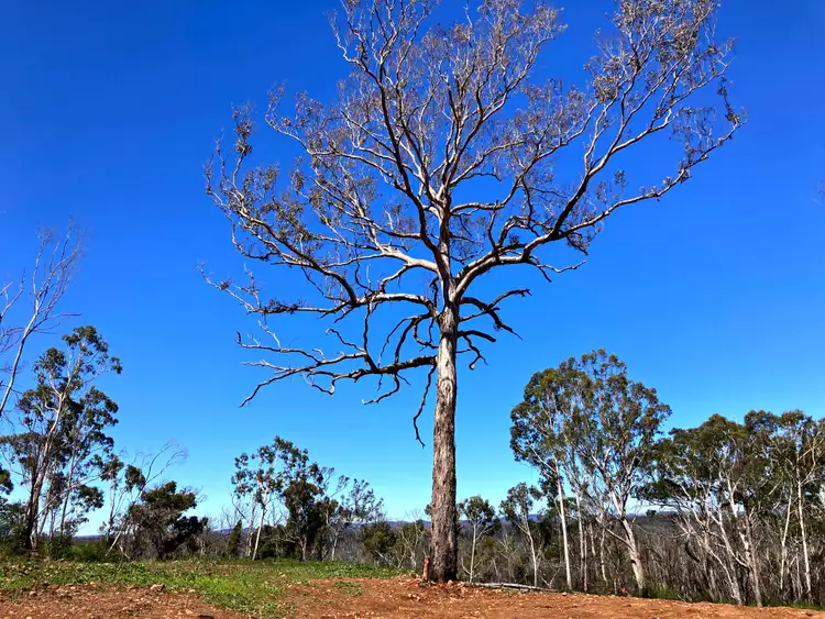 Fifth view of Homely rural property listing, Lot 64 Nerriga Road, Tomboye NSW 2622