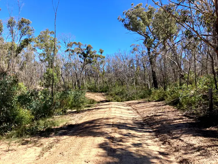 Seventh view of Homely rural property listing, Lot 64 Nerriga Road, Tomboye NSW 2622