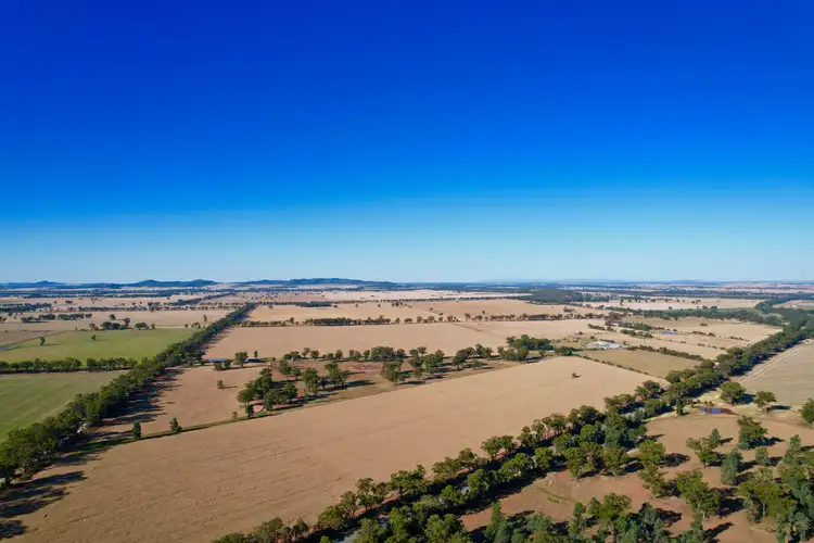 744 Milvale Road, Temora NSW 2666