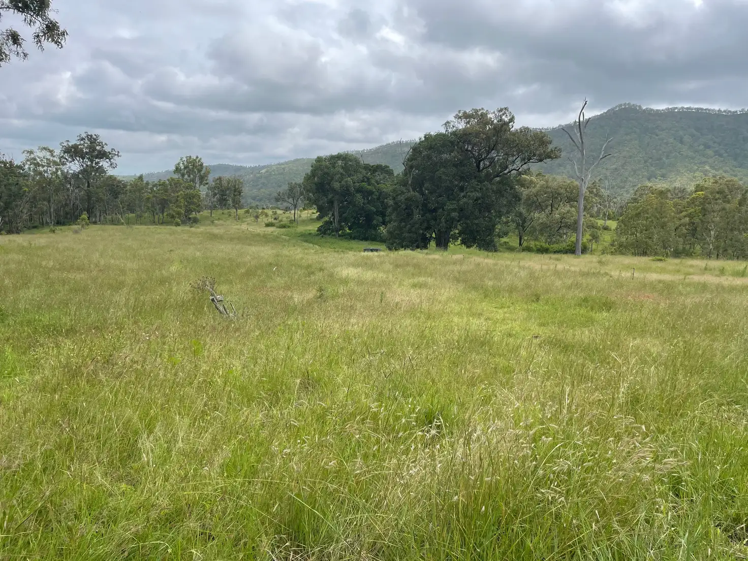 Main view of Homely rural property listing, 0 Mount Berryman Road, Thornton QLD 4341