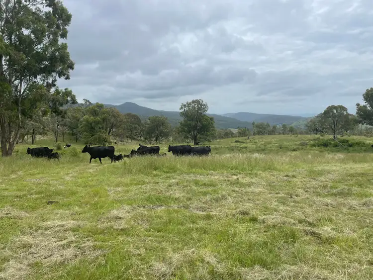 Fourth view of Homely rural property listing, 0 Mount Berryman Road, Thornton QLD 4341