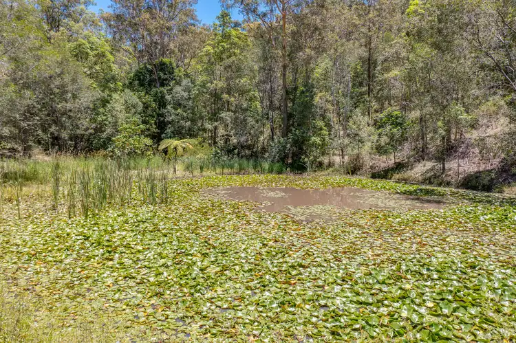 Fourth view of Homely house listing, 70 Henri Robert Drive, Clagiraba QLD 4211