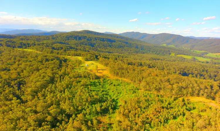 Third view of Homely rural property listing, 369 Main Creek Road, Main Creek NSW 2420