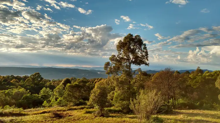 Fourth view of Homely rural property listing, 369 Main Creek Road, Main Creek NSW 2420