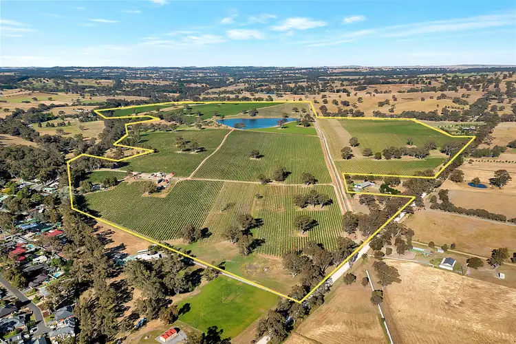 Fourth view of Homely rural property listing, 1282 Torrens Valley Road, Birdwood SA 5234