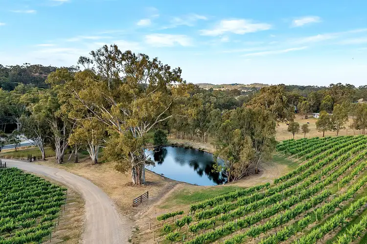 Sixth view of Homely rural property listing, 1282 Torrens Valley Road, Birdwood SA 5234