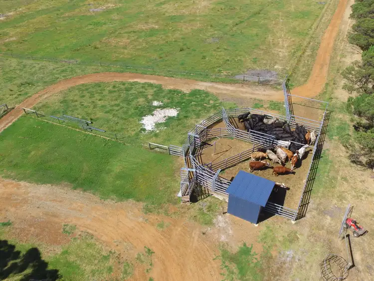 Fourth view of Homely rural property listing, 96 Parry Road, Denmark WA 6333