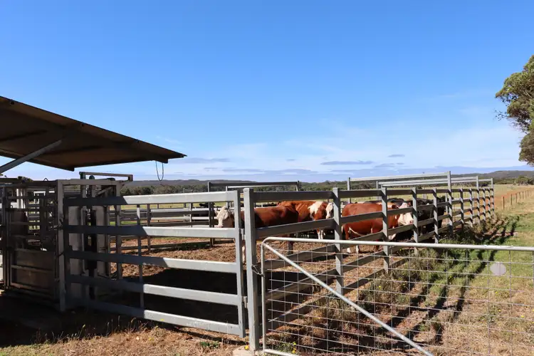 Fifth view of Homely rural property listing, 96 Parry Road, Denmark WA 6333