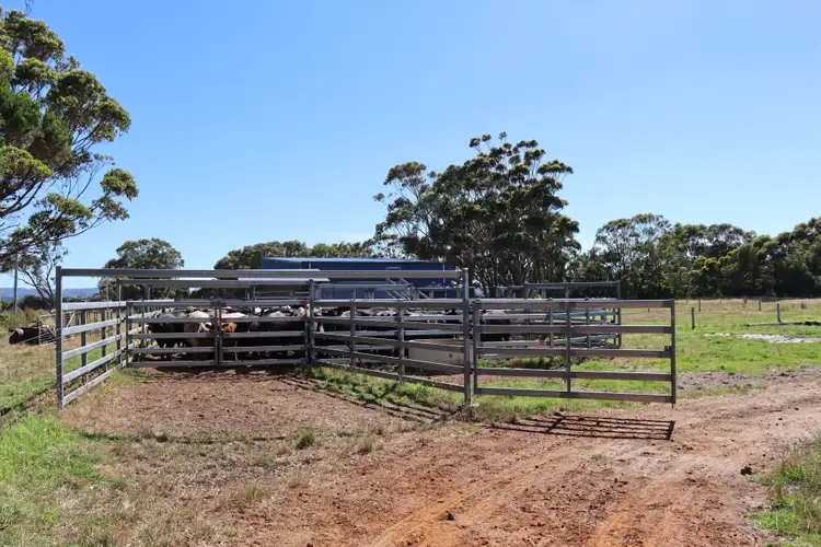 Sixth view of Homely rural property listing, 96 Parry Road, Denmark WA 6333