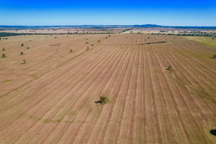 Main view of Homely rural property listing, 2840 Wamboyne Road, West Wyalong NSW 2671