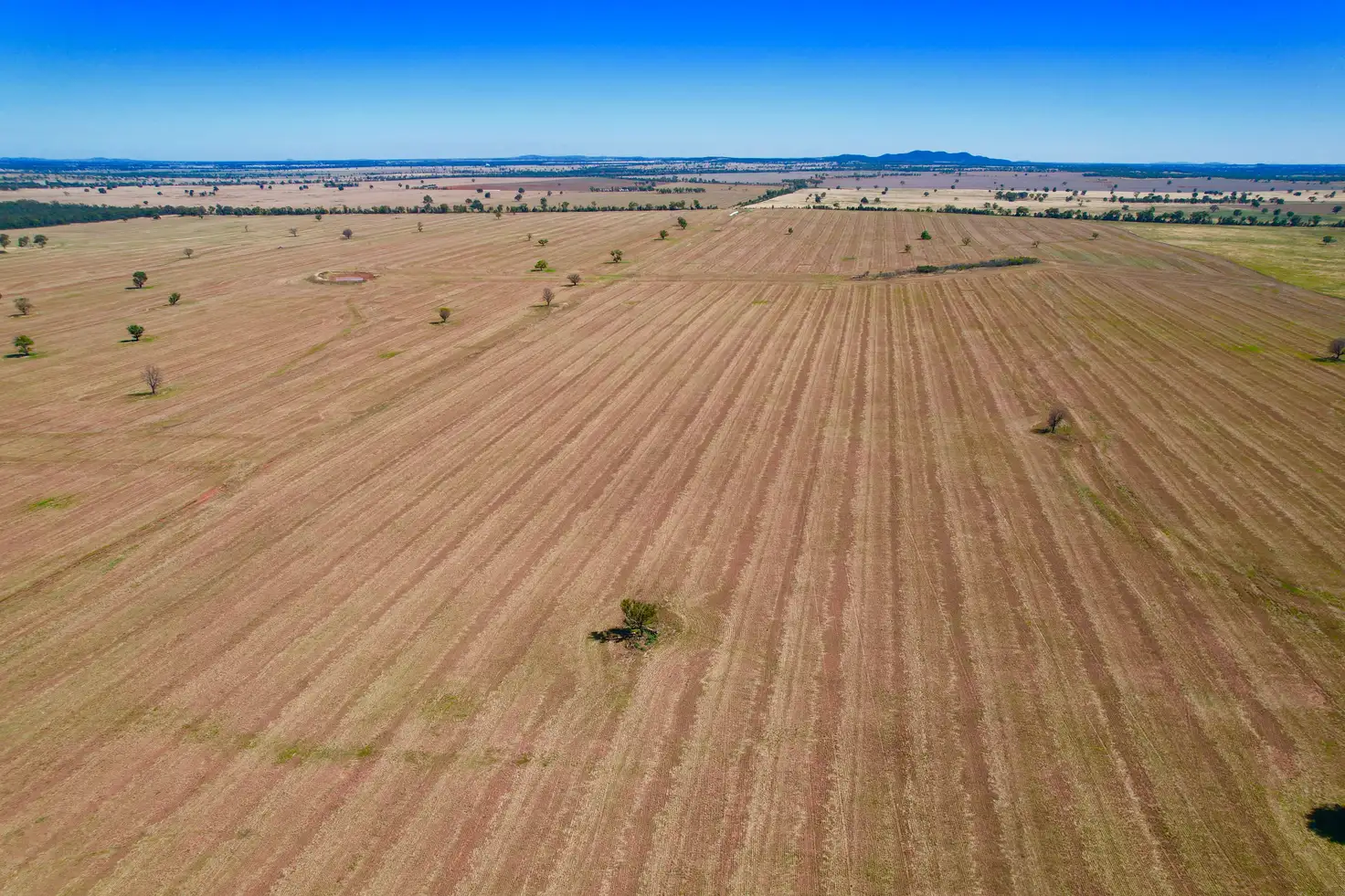 Main view of Homely rural property listing, 2840 Wamboyne Road, West Wyalong NSW 2671
