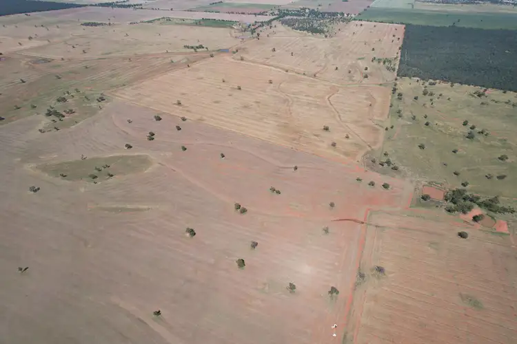 Second view of Homely rural property listing, 2840 Wamboyne Road, West Wyalong NSW 2671