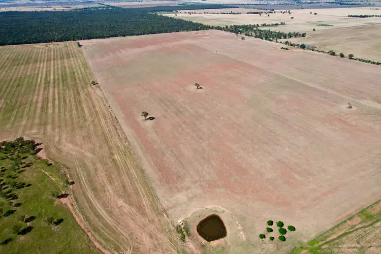 Third view of Homely rural property listing, 2840 Wamboyne Road, West Wyalong NSW 2671