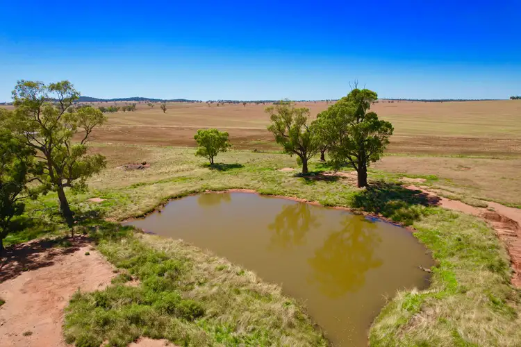 Fifth view of Homely rural property listing, 2840 Wamboyne Road, West Wyalong NSW 2671