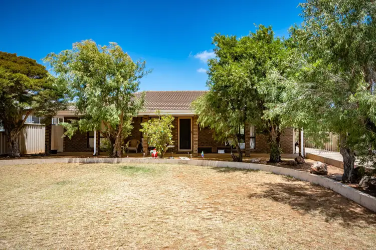 22 Pinyali Way, Waggrakine WA 6530