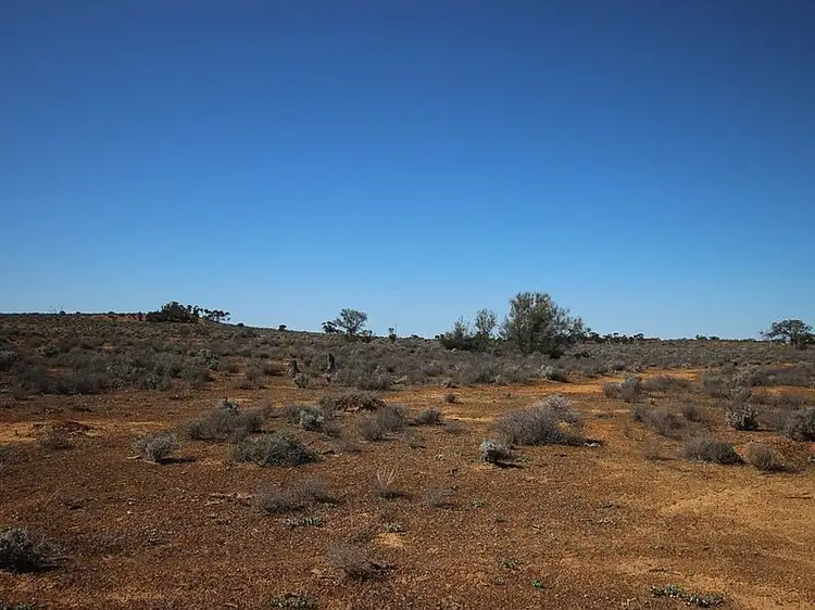 Lot 366 Ring Road, Morgan SA 5320