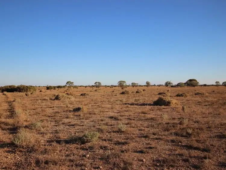 Seventh view of Homely land listing, Section 97 Sturt Highway, Blanchetown SA 5357