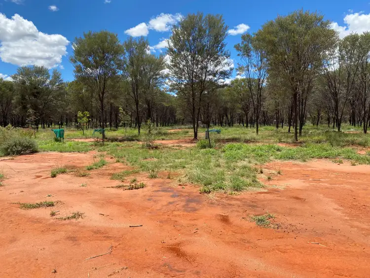 Seventh view of Homely rural property listing, 2 Red Lane, Ward QLD 4470