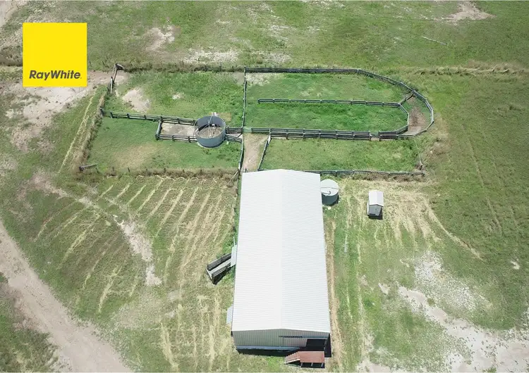 Main view of Homely rural property listing, 1702 'Oak Camp' Emmaville Road, Ashford NSW 2361