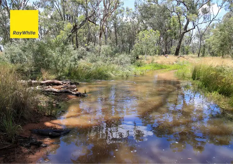 Main view of Homely rural property listing, 1402 'Pine Hills' Emmaville Road, Ashford NSW 2361