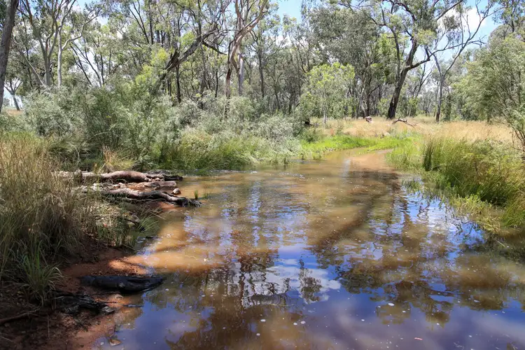 Second view of Homely rural property listing, 1402 'Pine Hills' Emmaville Road, Ashford NSW 2361