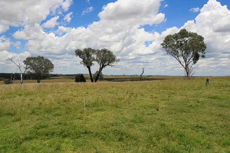 Third view of Homely rural property listing, 1402 'Pine Hills' Emmaville Road, Ashford NSW 2361