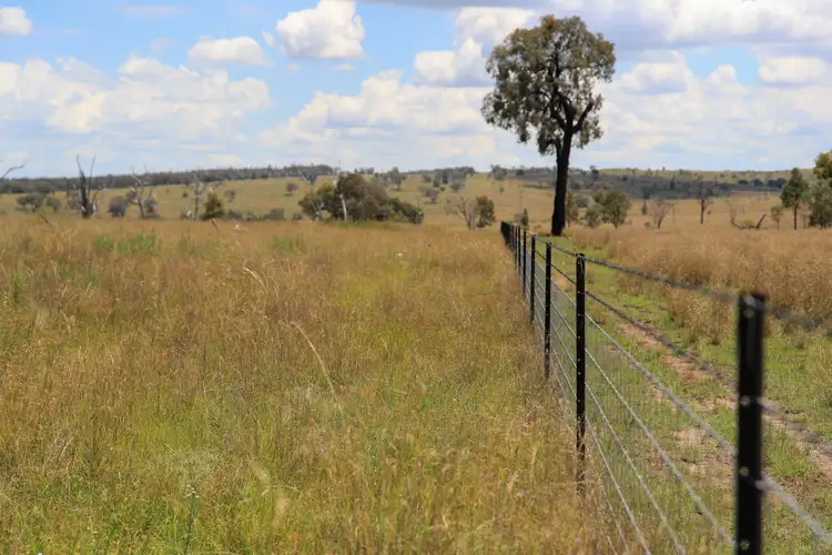 Fourth view of Homely rural property listing, 1402 'Pine Hills' Emmaville Road, Ashford NSW 2361