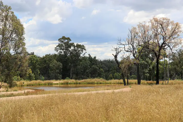 Fifth view of Homely rural property listing, 1402 'Pine Hills' Emmaville Road, Ashford NSW 2361