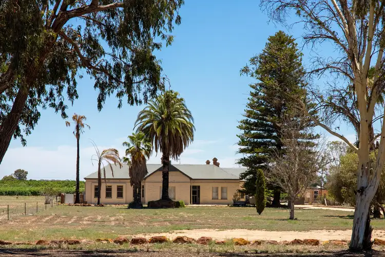 Second view of Homely house listing, 20023 Renmark Avenue, Renmark SA 5341