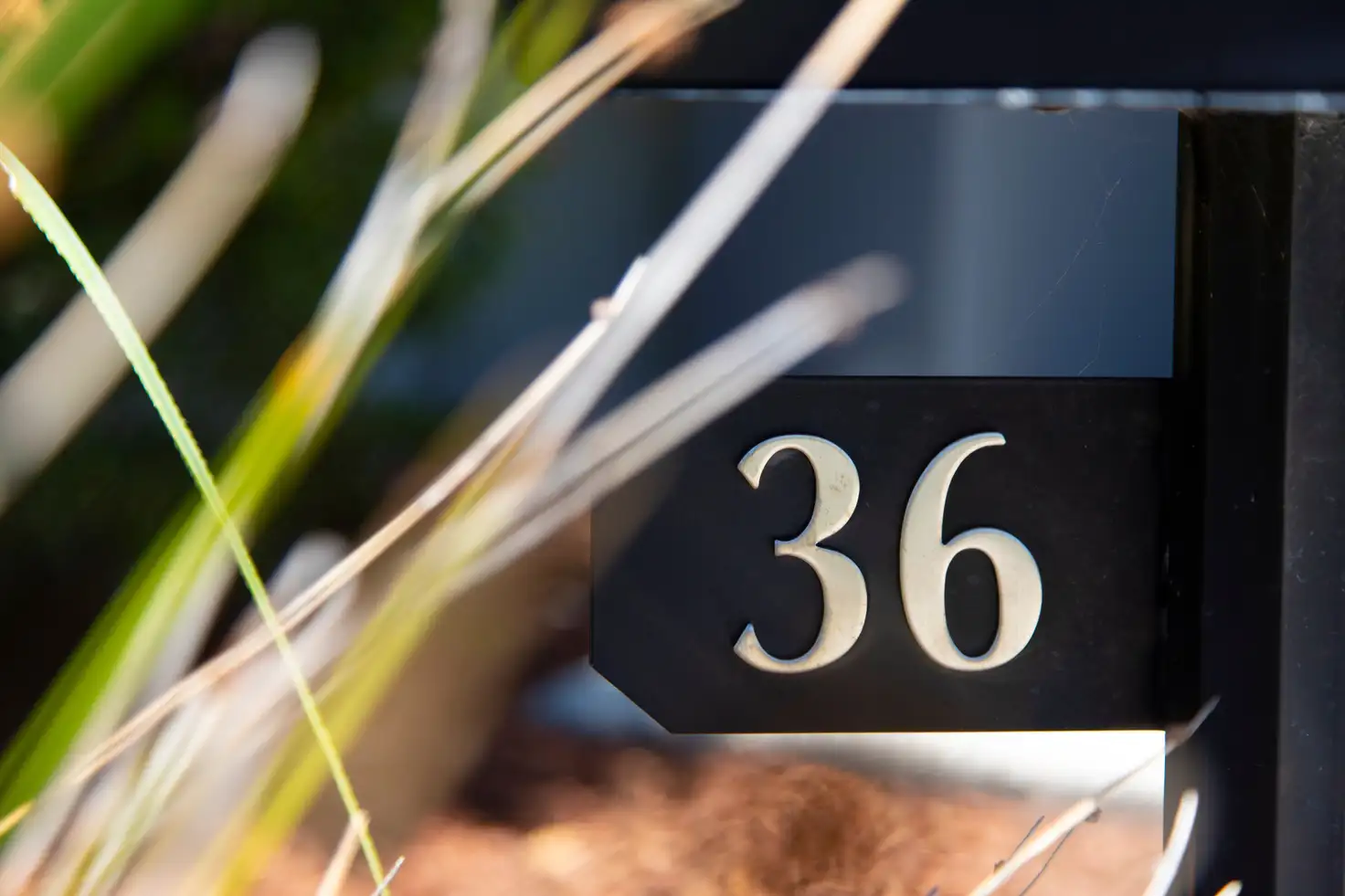 Main view of Homely house listing, 36 Sienna Street, Caloundra West QLD 4551