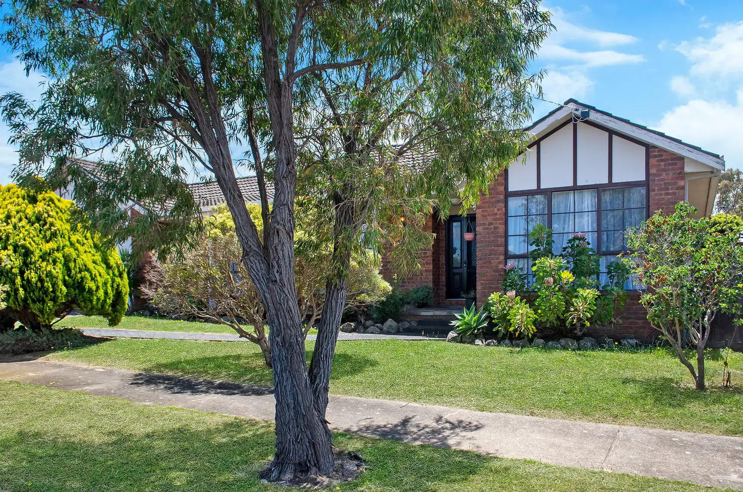 Main view of Homely house listing, 8 Marlee Court, Warrnambool VIC 3280