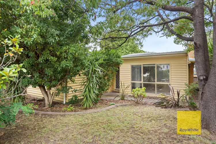 Second view of Homely house listing, 17 Cambra Road, Belmont VIC 3216