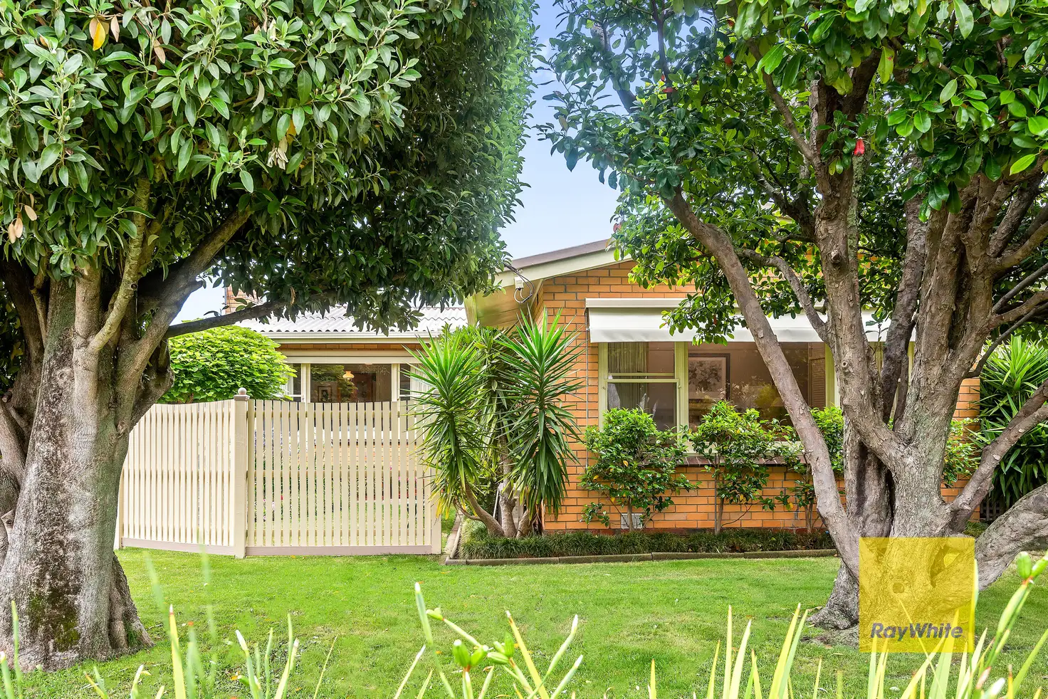 Main view of Homely house listing, 7 Cuthbert Avenue, Highton VIC 3216