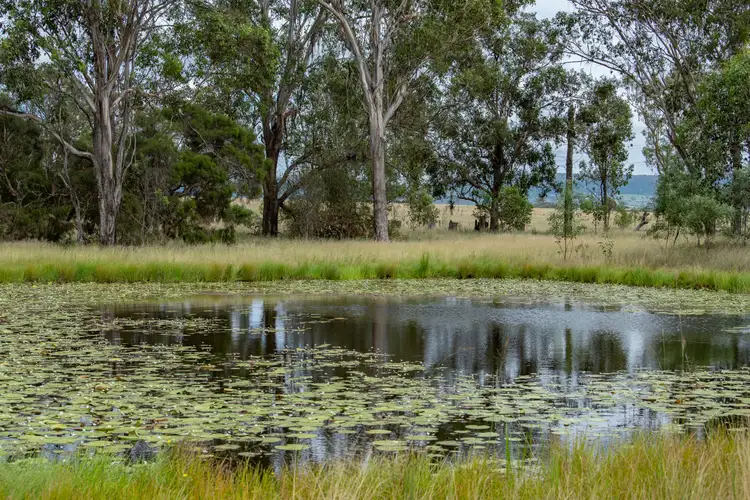 Sixth view of Homely rural property listing, 148 Lairhopes Road, Mount Forbes QLD 4340