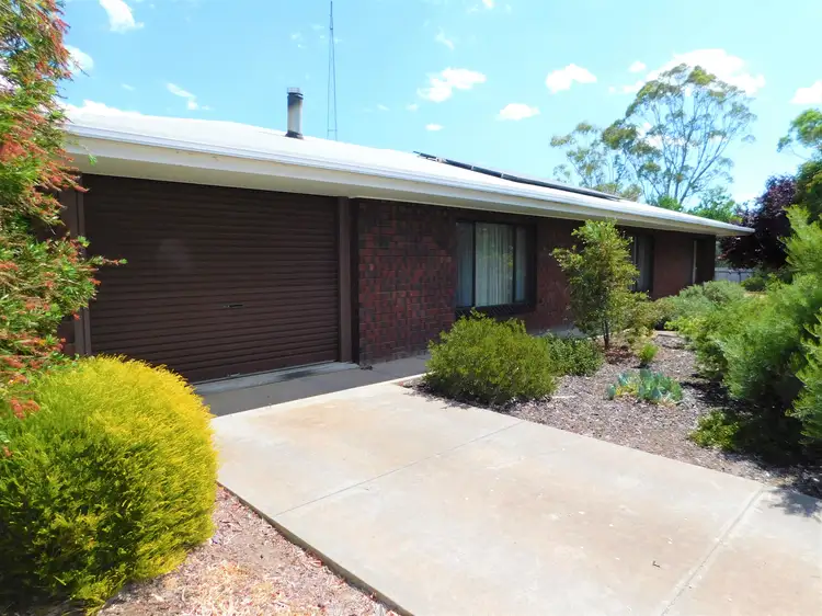 96 Victoria Parade, Bordertown SA 5268