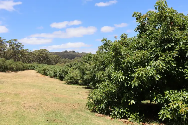 540 Scotsdale Road, Denmark WA 6333