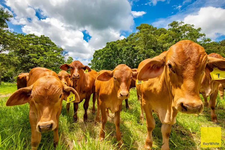 Sixth view of Homely house listing, 325 Wahpunga Lane, Kin Kin QLD 4571