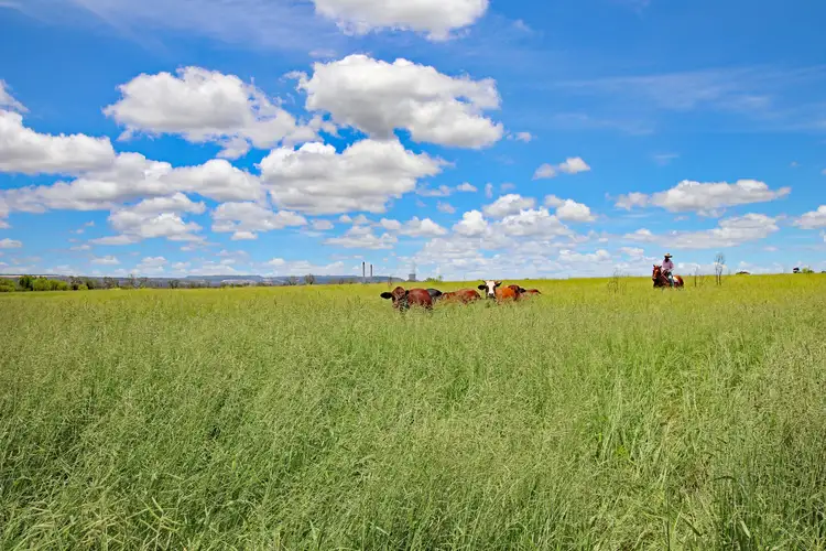 'Wirra Farm' 453 Calvale Road, Biloela QLD 4715