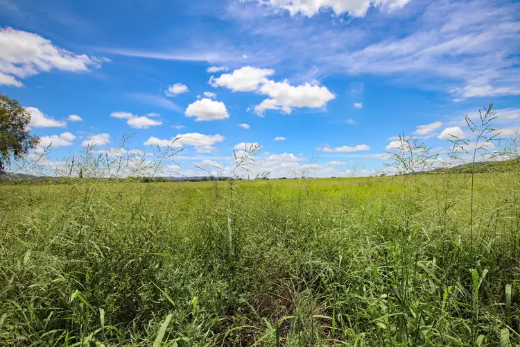 Fourth view of Homely rural property listing, 'Wirra Farm' 453 Calvale Road, Biloela QLD 4715