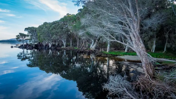 Sixth view of Homely land listing, Lot 158 Juncus Court, Hay WA 6333