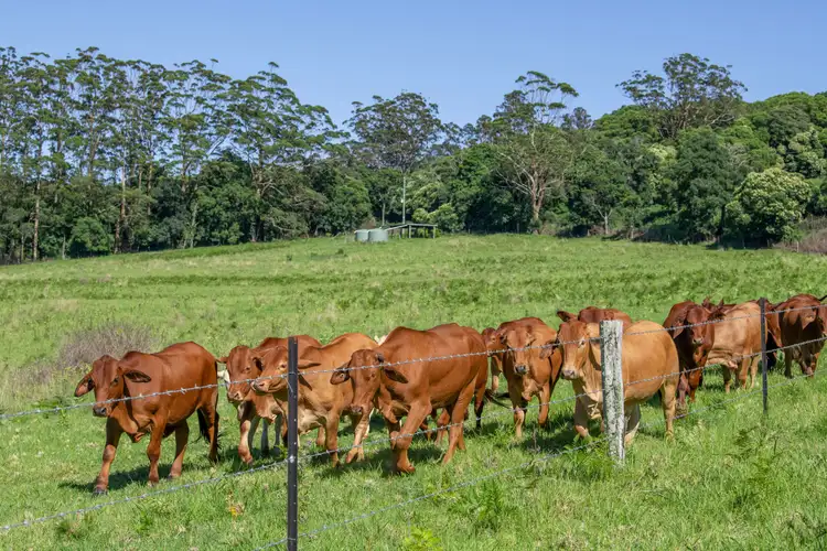 Third view of Homely rural property listing, 0 Esk Hampton Road, Ravensbourne QLD 4352