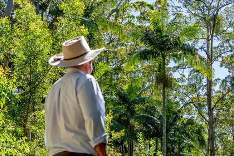 Fifth view of Homely rural property listing, 0 Esk Hampton Road, Ravensbourne QLD 4352