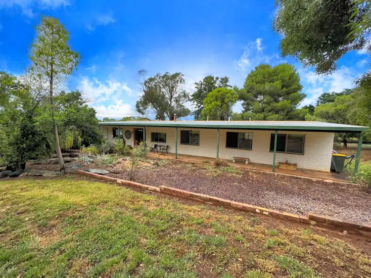 24 Wyndham Avenue, Forbes NSW 2871