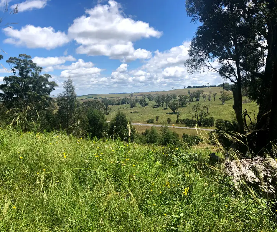 Main view of Homely rural property listing, 12 Bluebell Road, Northangera NSW 2622
