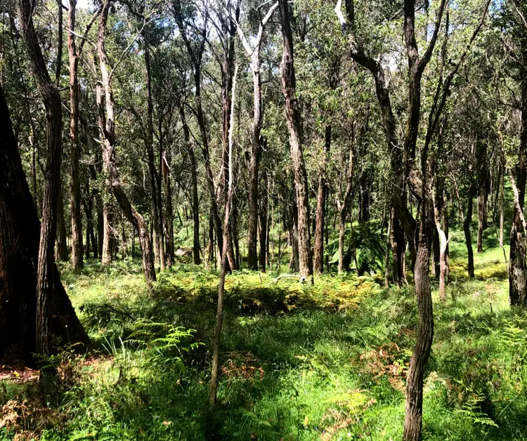 Sixth view of Homely rural property listing, 12 Bluebell Road, Northangera NSW 2622
